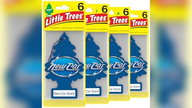 Best Best New Car Scent Air Fresheners for Long-Lasting Freshness