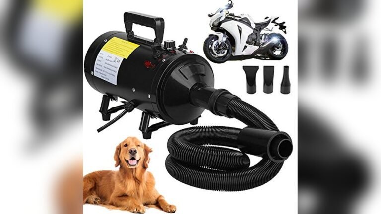 How to Best Air Blower for Car: Top Picks for Powerful Drying