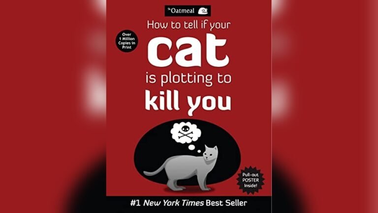 Top How to Tell If a Cat Is Plotting or Just Being Playful