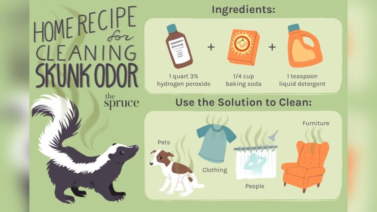 Why How to Remove Skunk Smell: Effective Tips That Really Work